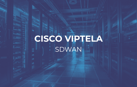 CISCO (Viptela) SDWAN course